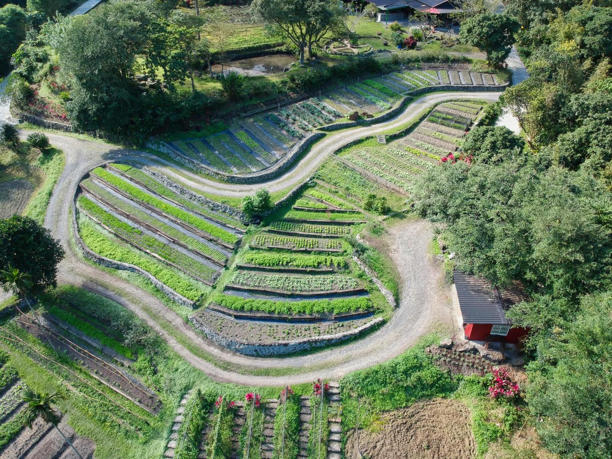 Tou-Cheng Leisure Farm Hotel Toucheng Exteriér fotografie