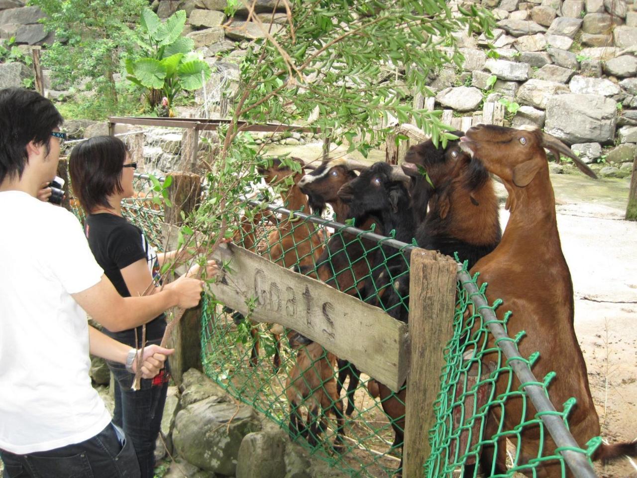Tou-Cheng Leisure Farm Hotel Toucheng Exteriér fotografie